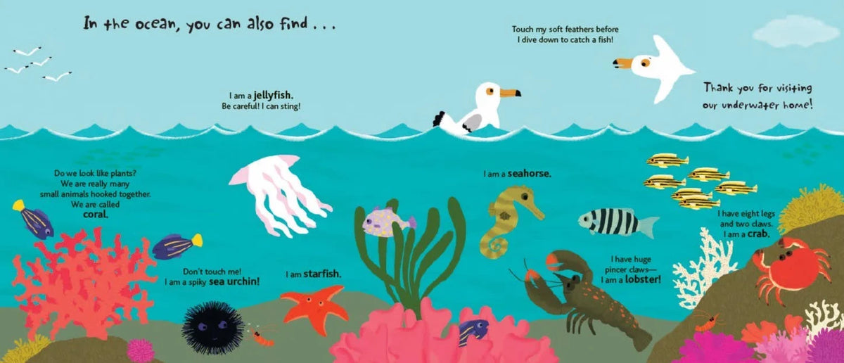 Touch and Explore: The Ocean, view 3