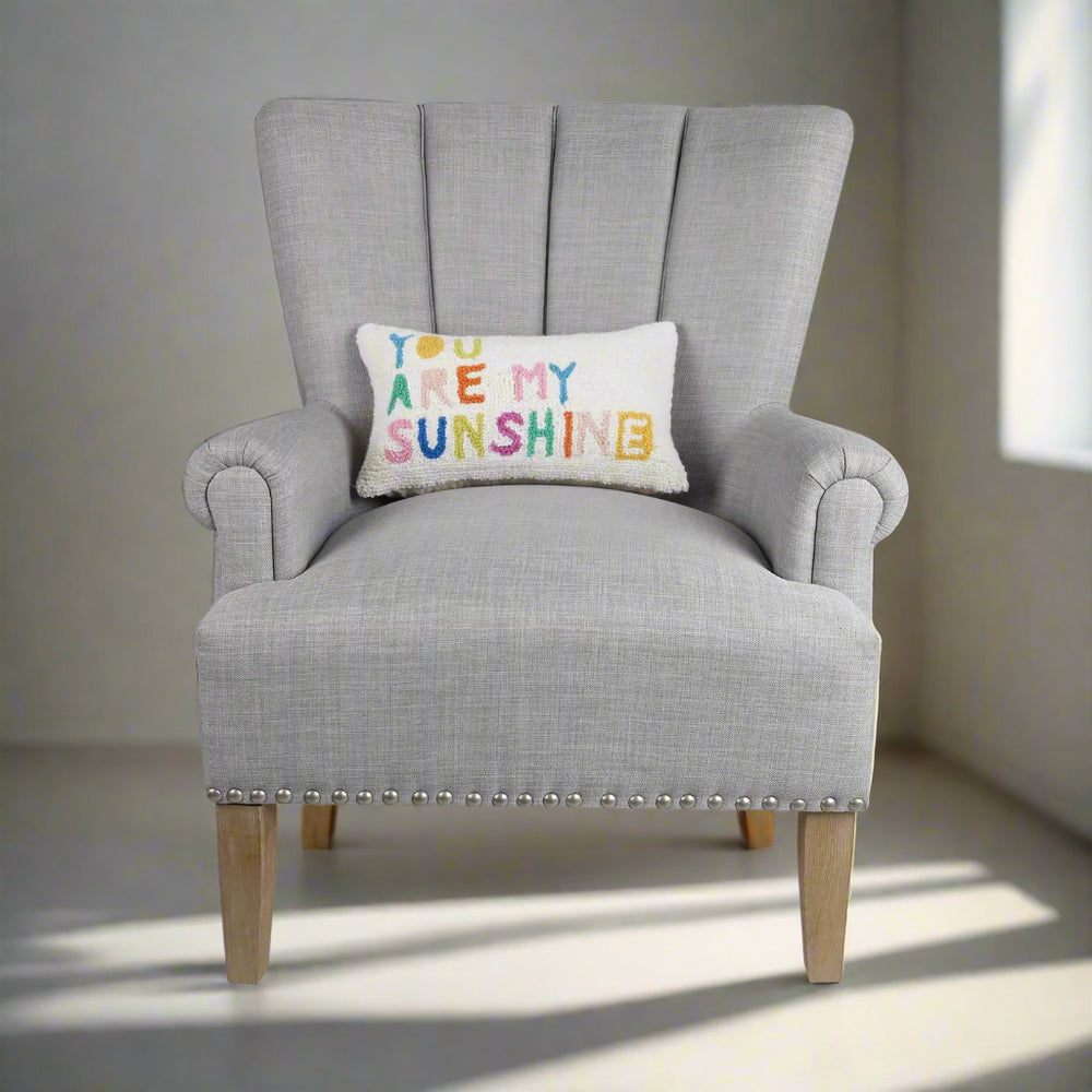 You Are My Sunshine Hook Pillow