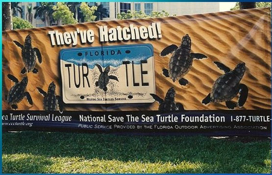 Adopt a Sea Turtle Nest  - Save the Sea Turtle Foundation - The Riviera Towel Company