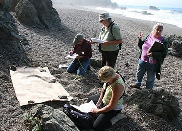Did you Know The National Marine Sanctuary Needs Volunteers - The Riviera Towel Company