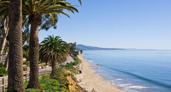 Ocean bluffs above the Pacific in Santa Barbara, a classic wedding backdrop