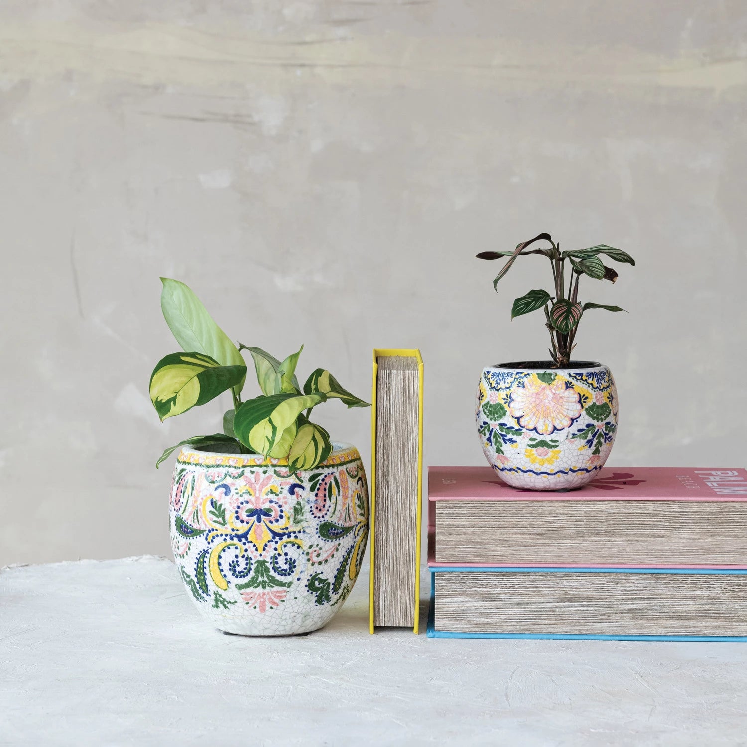 Terra-cotta Planter