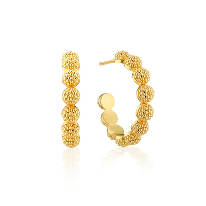 Berry Icon Small Hoop Earrings