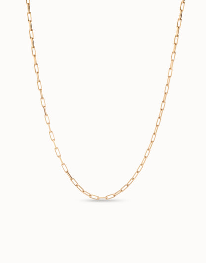 Long Link Chain, view 4