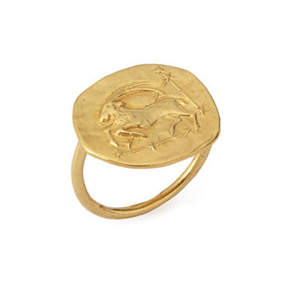 Zodiac RIng, view 2