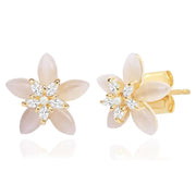 Cat's Eye Star Flower Studs