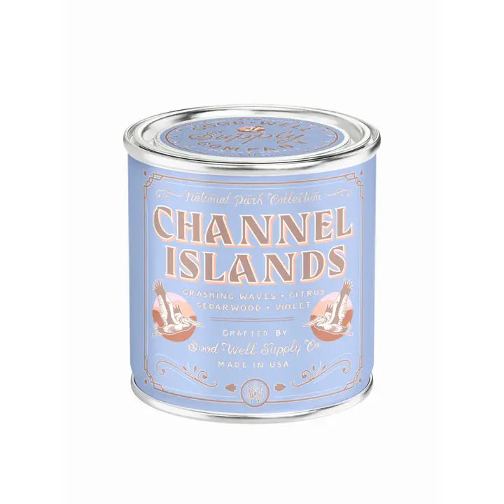 Half Pint Tin Candle