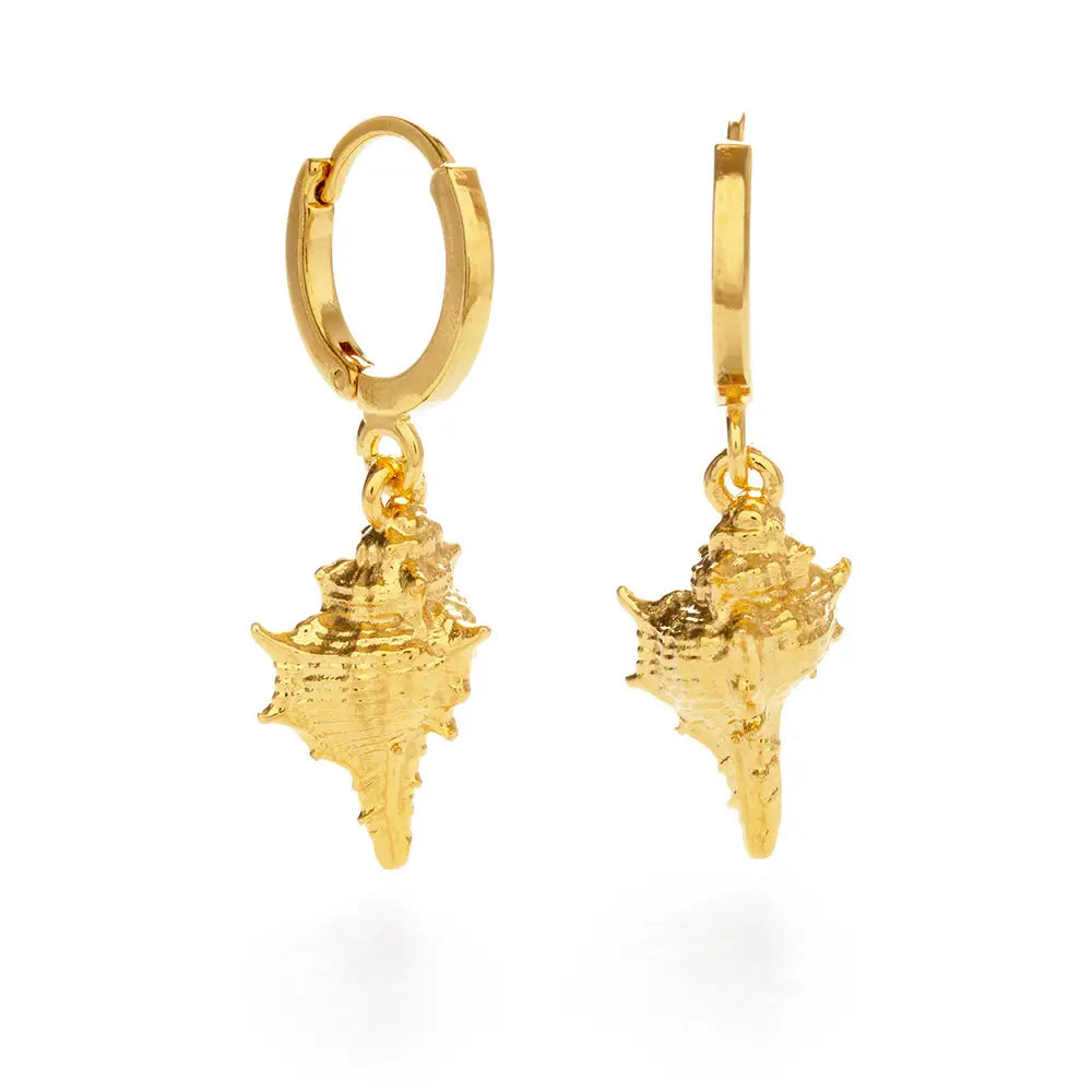 Conch Shell Huggie Hoop Earrings