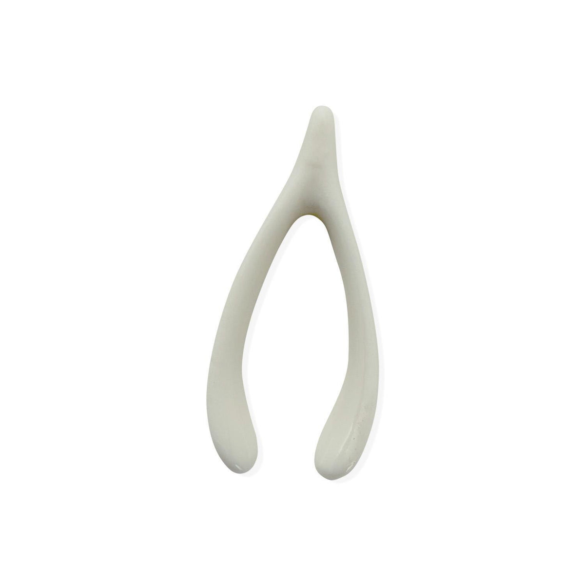 Wish Bone in Matchbox