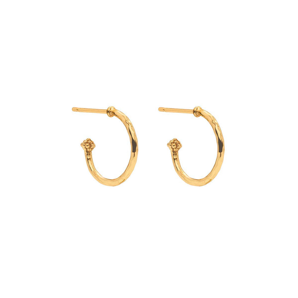 Hoop Earrings with Heart Charm