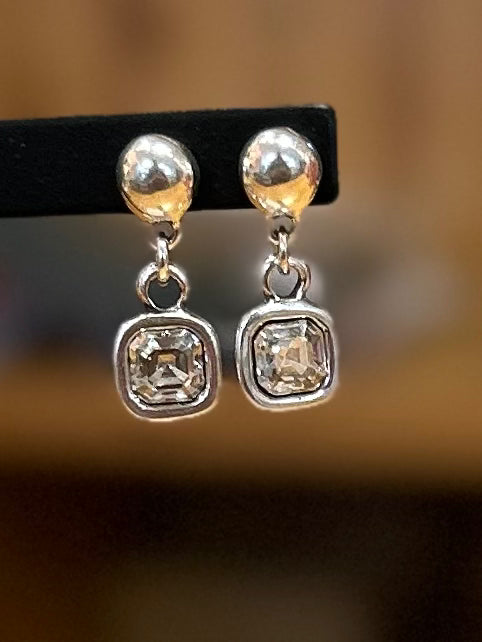 Expresiva  Earrings