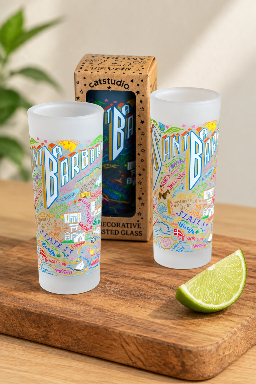 Two frosted glass tumblers with colorful illustrated coasters and the words 'Santa Barbara' and 'Barbaric' displayed in front of their branded cardboard packaging on a wooden surface.