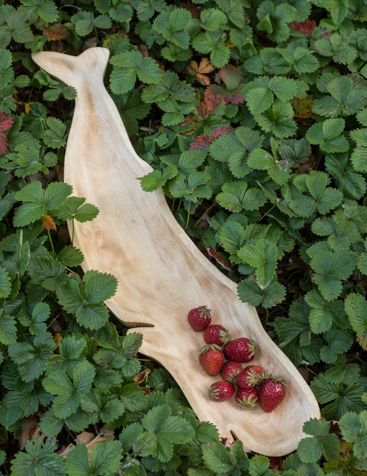 Kiln Mango Wood Whale Dish, view 2
