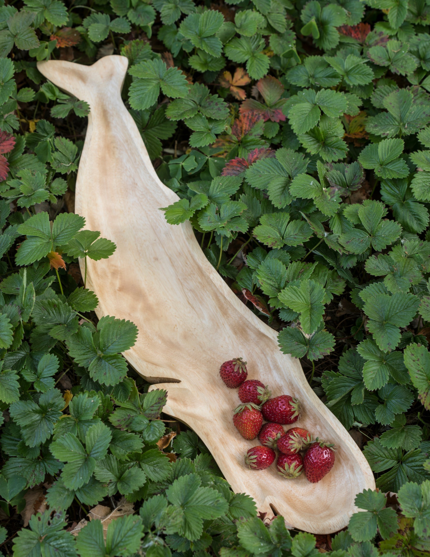 Kiln Mango Wood Whale Dish