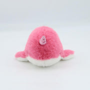 Narwhal