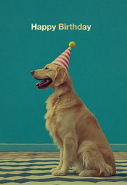 Salty Dog Greeting Cards