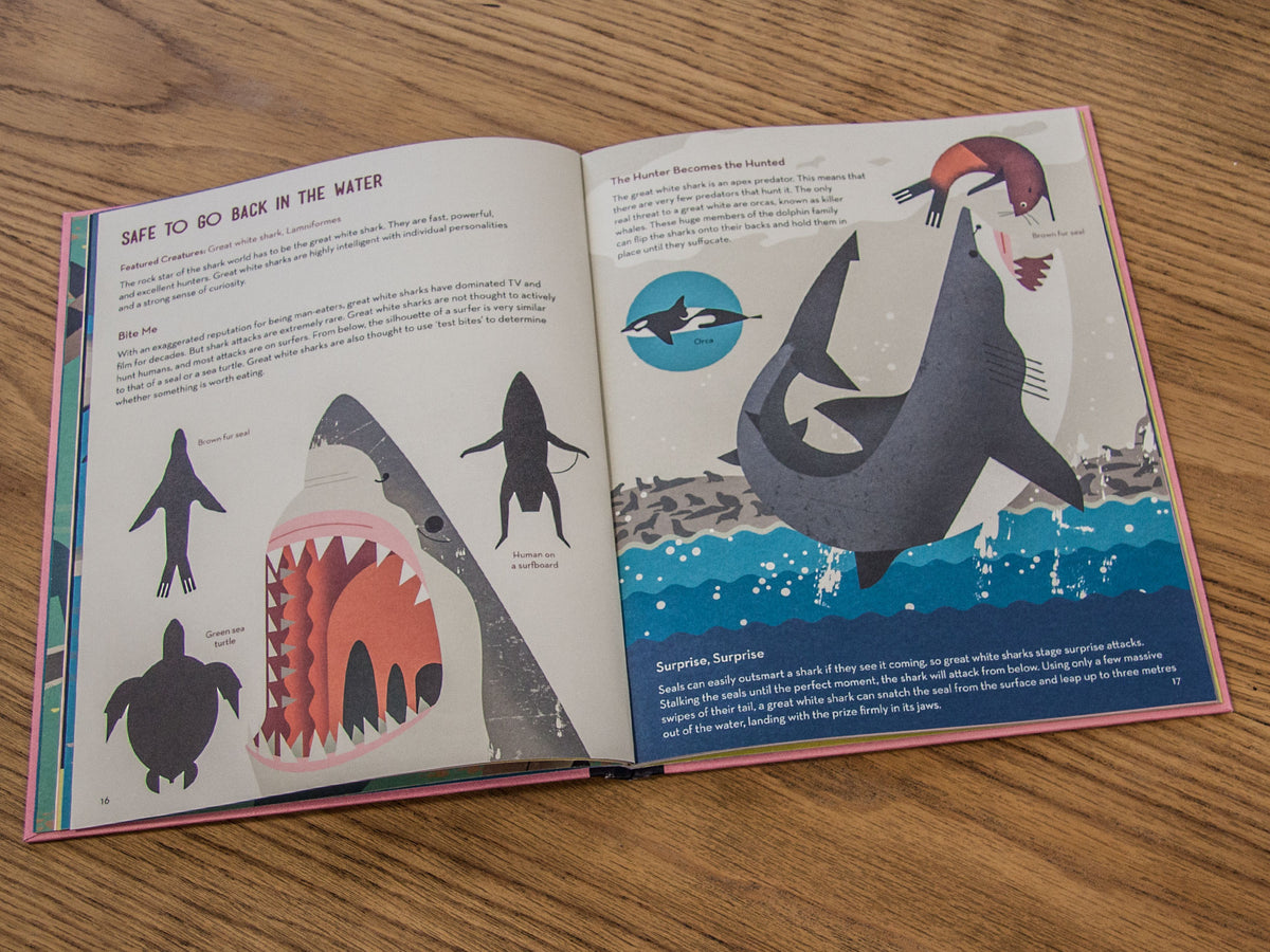 Smart About Sharks, view 3