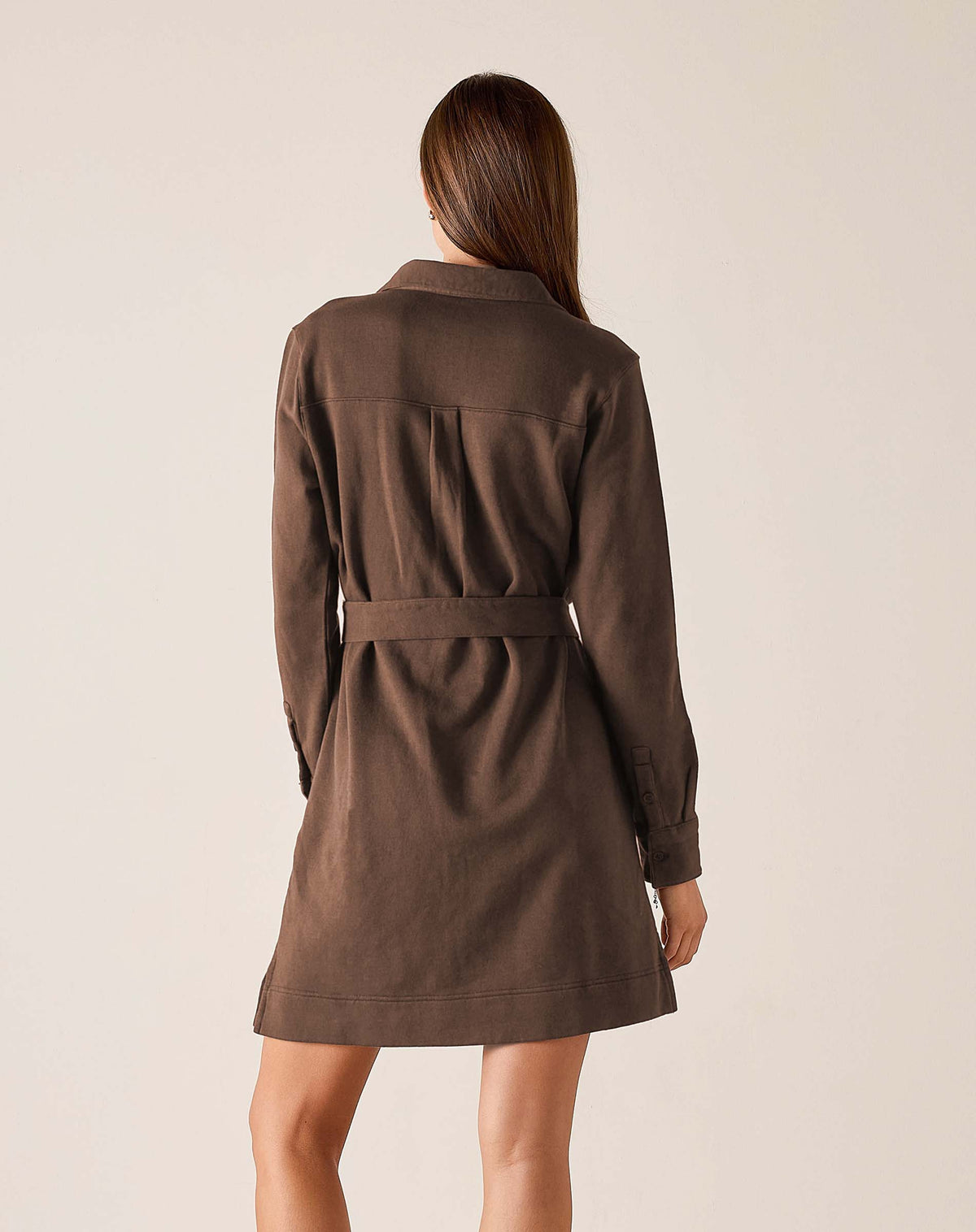 Frenchie Dress
