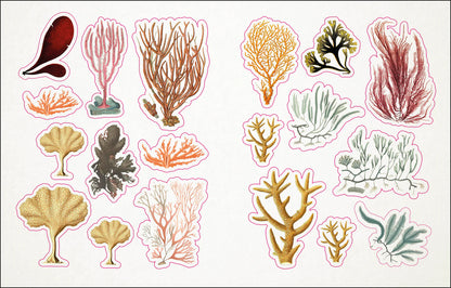 The Seashore Sticker Anthology, view 2