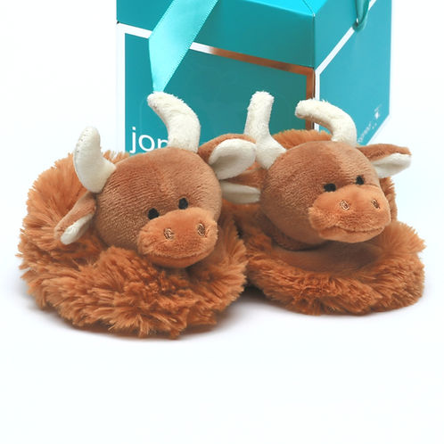 Baby Slippers