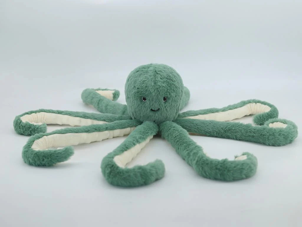 Octopus