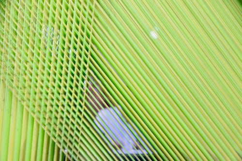Green warp threads on a loom