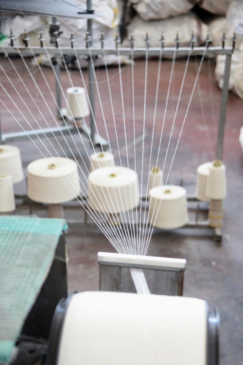 Cones of natural Turkish cotton yarn on the warping machine