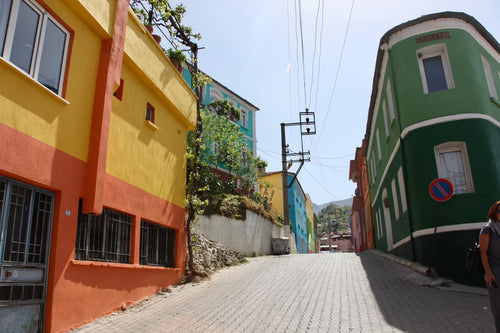 Colorful houses on a village lane